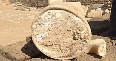 Oldest cheese found in 3200 year-old Egyptian tomb hides a pathogenic secret