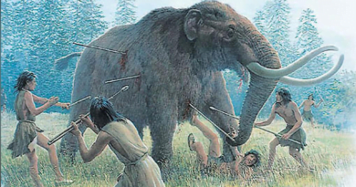 How did prehistoric people hunt mammoths?