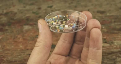 Tiny shards of plastic are increasingly infiltrating our brains, study says